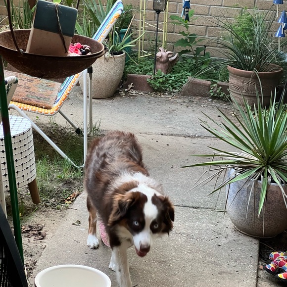 Meet your Posher, Kathleen - Picture 7 of 7